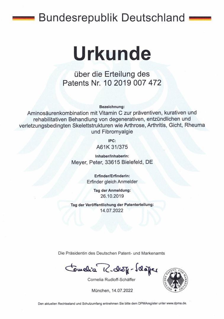 Patenturkunde SD-Pro_p1.jpeg.jpg